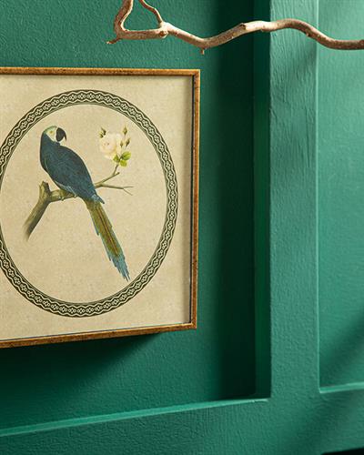 Parrot Картина 20x20 см Син