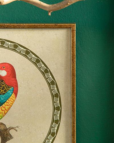 Parrot Картина 20x20 см Бледосив.