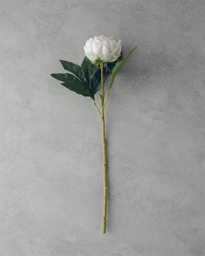 Peony Изкуствено Цвете Един Стрък 58 см Шампанско