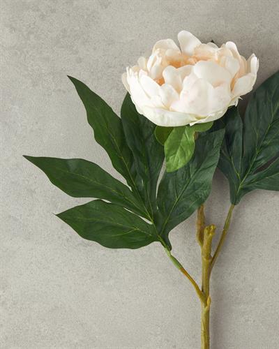 Peony Dream Изкуствено Цвете Един Стрък 58 см Шампанско