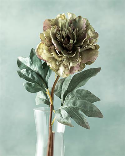 Peony Dream Изкуствено Цвете Един Стрък 75 см Зелен