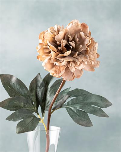Peony Dream Изкуствено Цвете Един Стрък 75 см Кремав