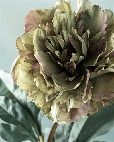 Peony Dream Изкуствено Цвете Един Стрък 75 см Зелен
