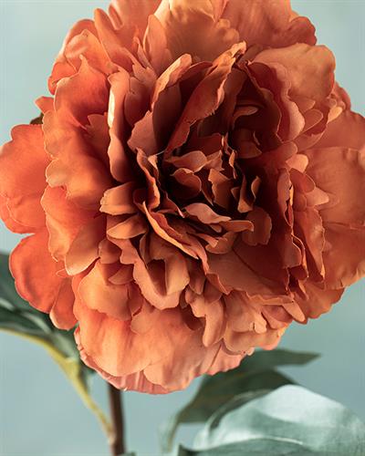 Peony Dream Изкуствено Цвете Един Стрък 75 см Оранжев