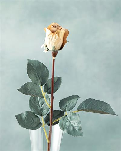 Petit Roses Една Клонка Изкуствено Цвете Кремово, 50 Cm