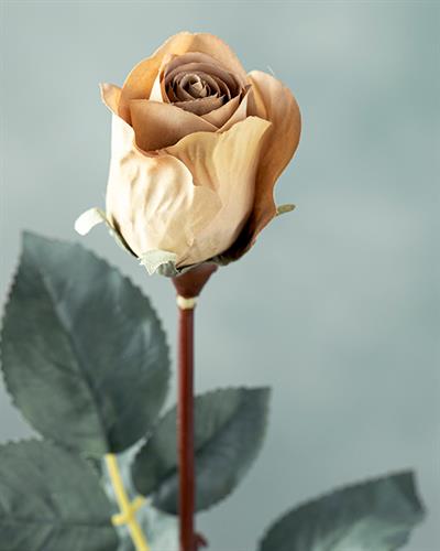 Petit Roses Една Клонка Изкуствено Цвете Кремово, 50 Cm