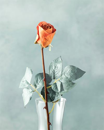 Petit Roses Една Клонка Изкуствено Цвете Оранжево,, 50 Cm