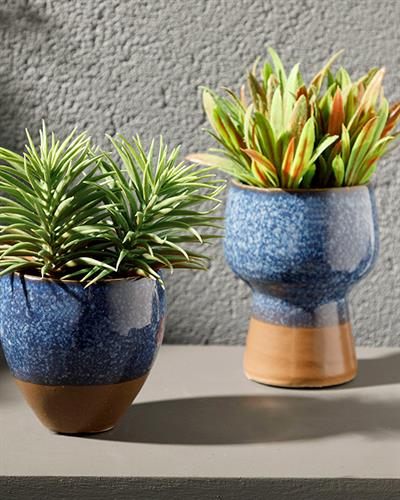 Pine Изкуствено Цвете С Ваза Керамика 12X12X16 CM Син - Зелен