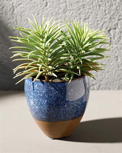 Pine Изкуствено Цвете С Ваза Керамика 12X12X16 CM Син - Зелен