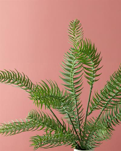 Pine Изкуствено Цвете Един Стрък 48 см Тъмнозелен