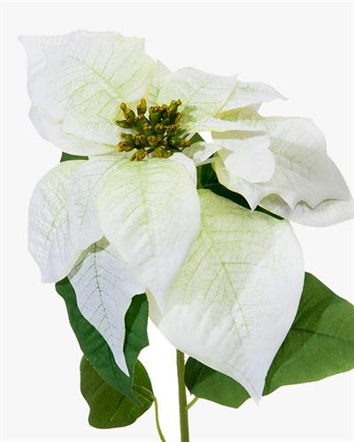 Poinsettia Изкуствено Цвете 76 см Бял