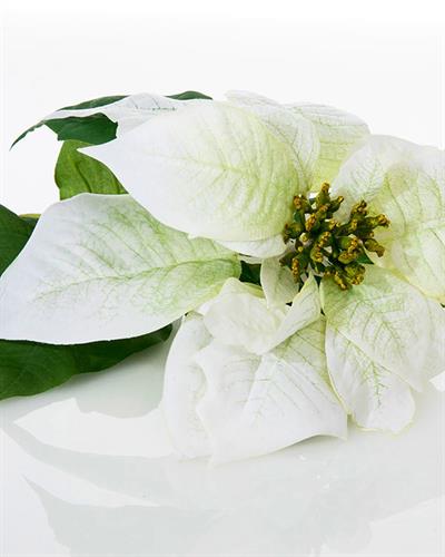 Poinsettia Изкуствено Цвете 76 см Бял