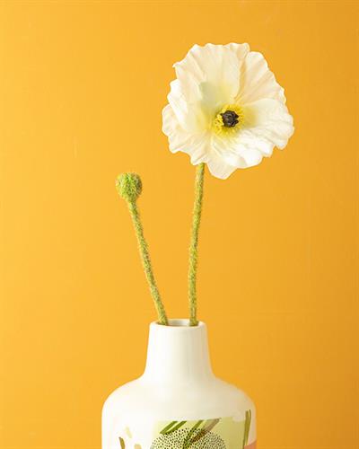 Poppy Изкуствено Цвете Един Стрък 60 см Бял