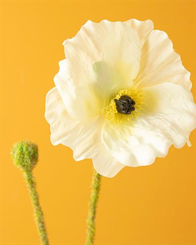 Poppy Изкуствено Цвете Един Стрък 60 см Бял