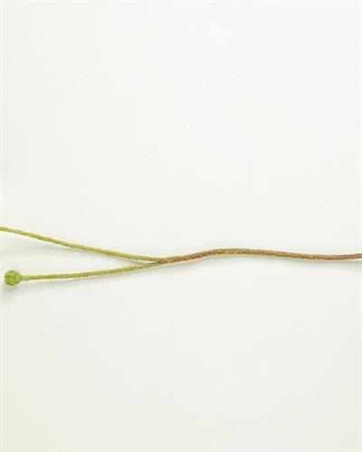 Poppy Изкуствено Цвете Един Стрък 60 см Бял