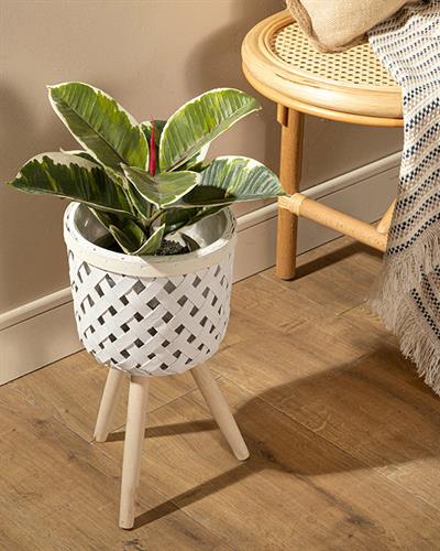 Pure Саксия Бяло, 21 X 21 X 38 Cm