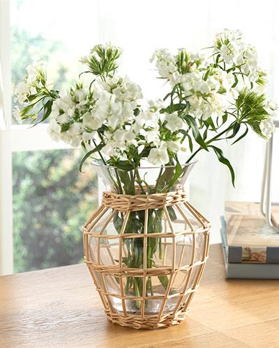 Rhonda Ваза Стъкло 14,5X14,5X17 см Прозрачен