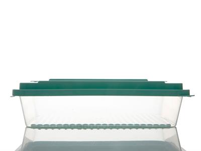 Rocket КУТИЯ ЗА СЪХРАНЕНИЕ Правоъгълен малък Пластмасов 2L Green