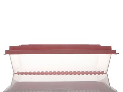 Rocket КУТИЯ ЗА СЪХРАНЕНИЕ Правоъгълен малък Пластмасов 2L Pink