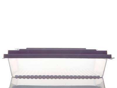 Rocket КУТИЯ ЗА СЪХРАНЕНИЕ Правоъгълен малък Пластмасов 2L Purple.