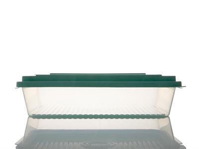 Rocket КУТИЯ ЗА СЪХРАНЕНИЕ Правоъгълно голямо Пластмасов 3,5L Green