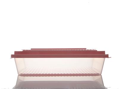 Rocket КУТИЯ ЗА СЪХРАНЕНИЕ Правоъгълно голямо Пластмасов 3,5L Pink