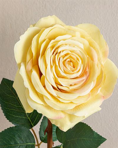 Rosalie Една Клонка Изкуствено Цвете Пластмасов, Жълто, 65 Cm