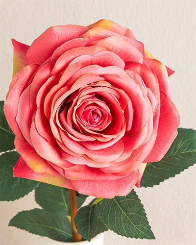 Rosalie Една Клонка Изкуствено Цвете Пластмасов, Розово, 65 Cm