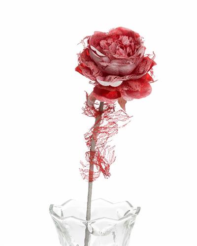 Rosse Изкуствено Цвете Полиестер 65 см Червен