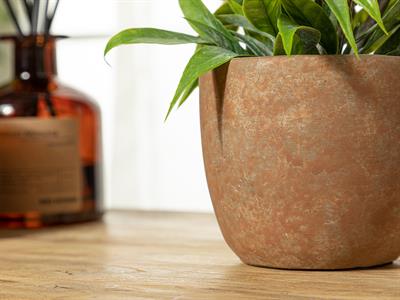 Royal Flowers Изкуствено Цвете Във Ваза Лилаво, 0