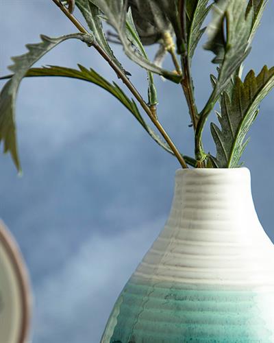 Sandra Саксия Зелено, 10 X 10 X 9 Cm