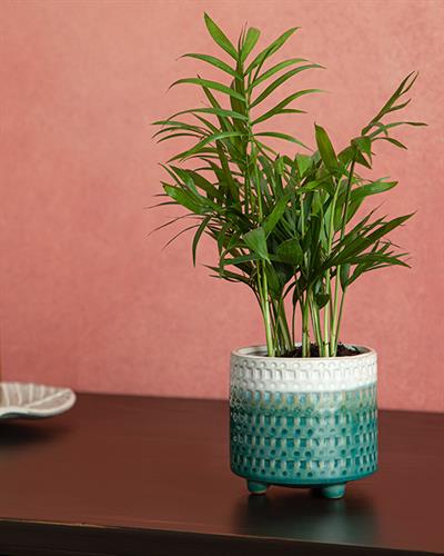 Sandra Ваза 13x13x18 см Зелен