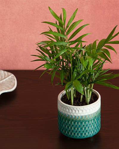 Sandra Ваза 13x13x18 см Зелен