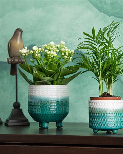 Sandra Ваза 13x13x18 см Зелен