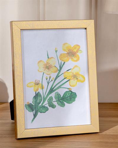 Sandra Рамка Пластмаса 13x18 см Златен