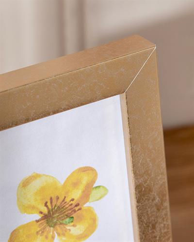 Sandra Рамка Пластмаса 13x18 см Златен