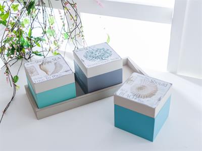 Sea Shell КУТИЯ ЗА СЪХРАНЕНИЕ Дървен . White