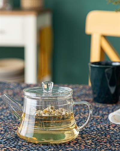 Simple Borosilicate Glass with Strainer Pot 500 ml Transparent