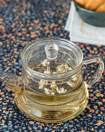 Simple Borosilicate Glass with Strainer Pot 500 ml Transparent