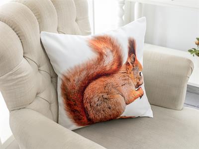 Görsel