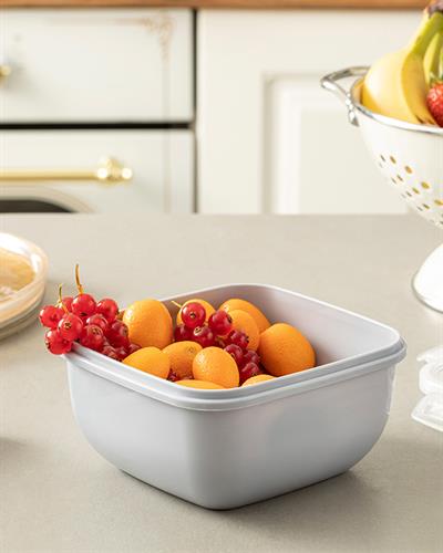 Stella Кутия За Съхранение Квадратна, Пластмасов, Сиво, 900 Ml