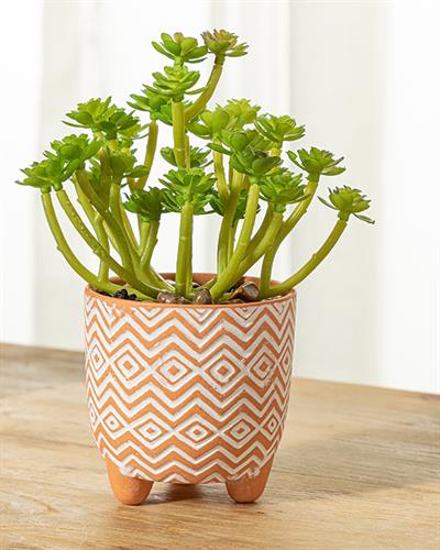 Succulent Изкуствено Цвете Във Ваза Зелено, 0