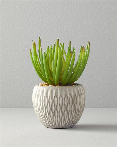 Sukulent Изкуствено Цвете С Ваза 16,5 см Сив