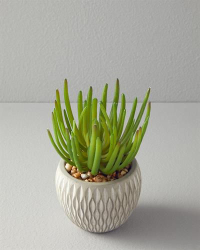 Sukulent Изкуствено Цвете С Ваза 16,5 см Сив