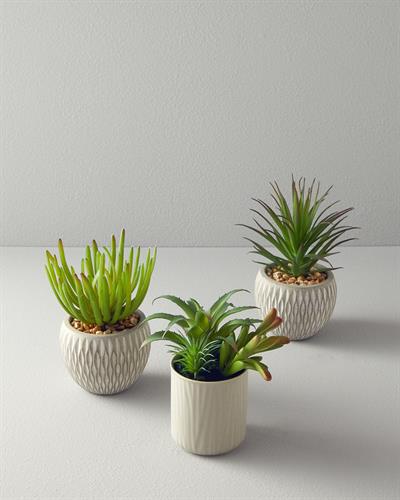 Sukulent Изкуствено Цвете С Ваза 16,5 см Сив