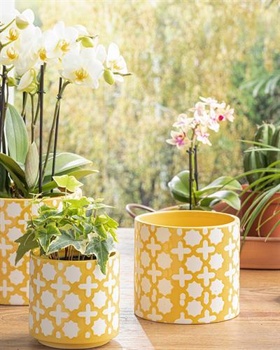 Sun Garden Саксия 16.5x16.5x14.3 см Жълт