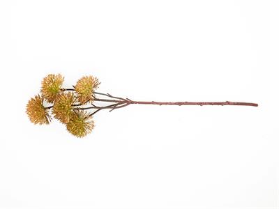 Thorn Onion Изкуствено Цвете Един Стрък 52 см Зелен