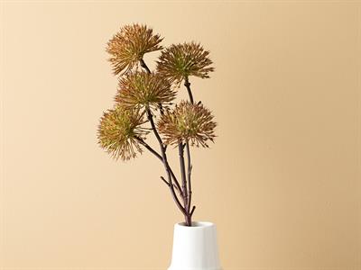 Thorn Onion Изкуствено Цвете Един Стрък 52 см Зелен