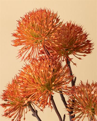 Thorn Onion Изкуствено Цвете Един Стрък 52 см Оранжев