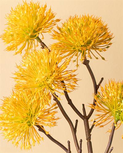 Thorn Onion Една Клонка Изкуствено Цвете Жълто, 52 Cm